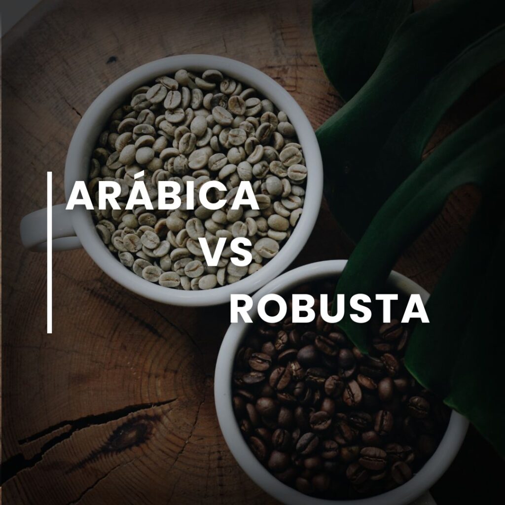 arábica y robusta